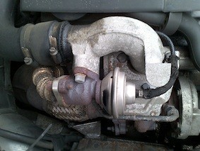 img-62277092e6.jpg?v=1