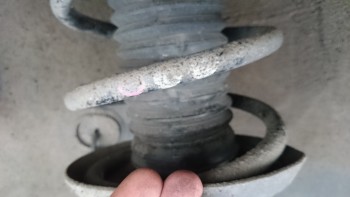 677e0b441557003.jpg