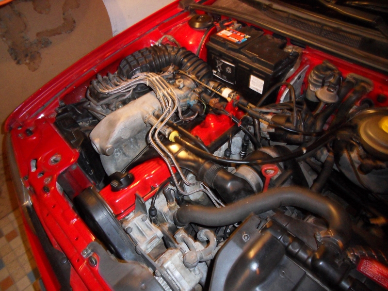679823SDC12053.jpg