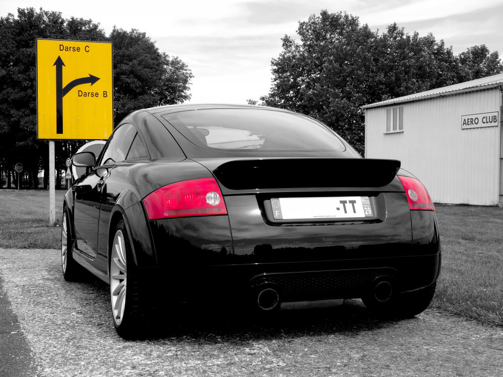 1206764557_DSC02074Rbw.thumb.JPG.120399f