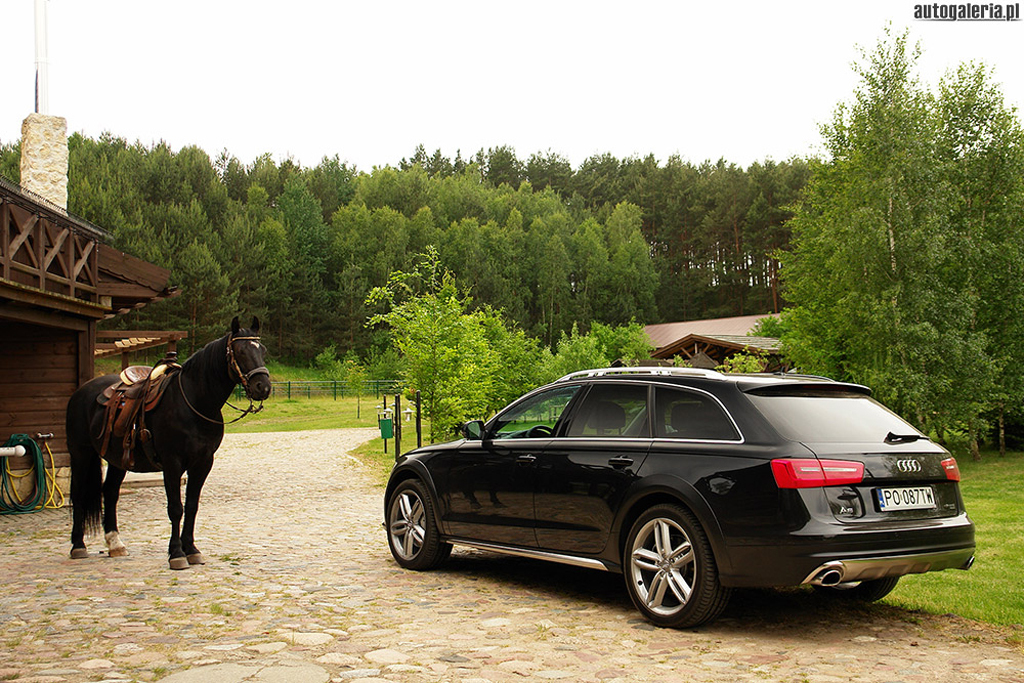 681449029AUDIA6C7ALLROAD.jpg