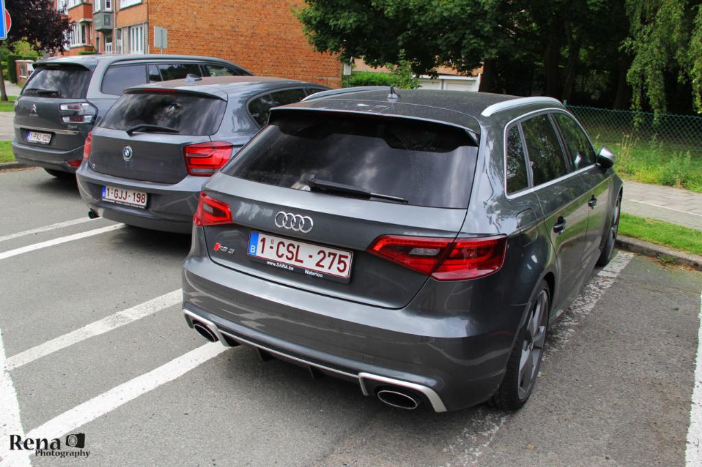 683773RS38V2804.jpg