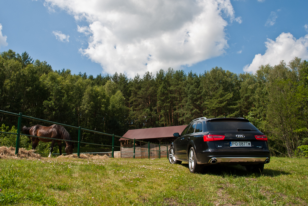 683797085AUDIA6C7ALLROAD.jpg