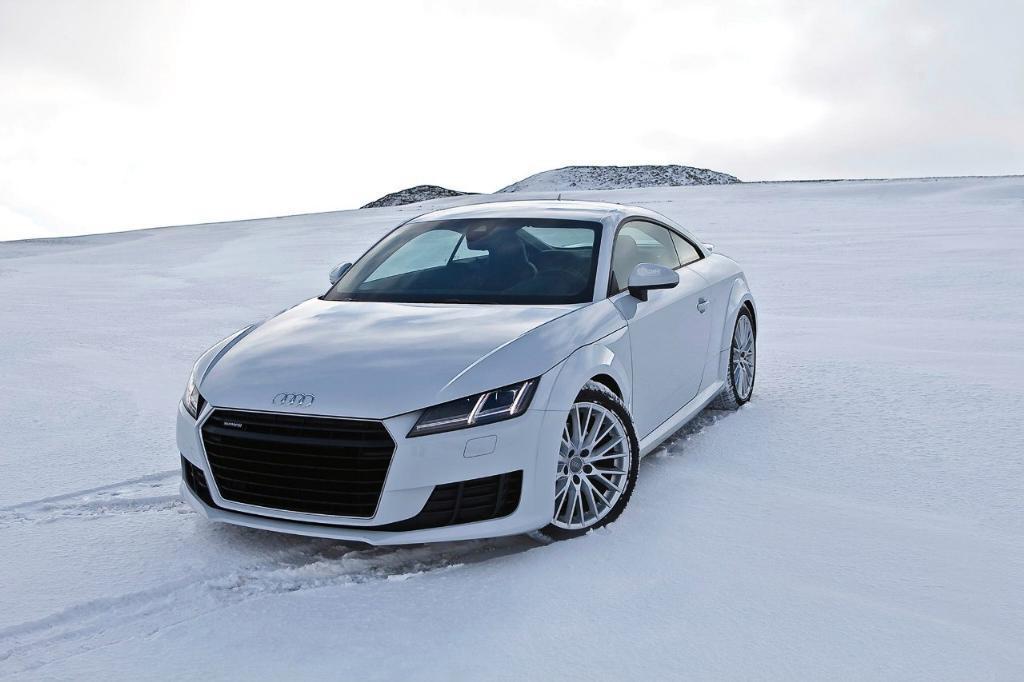 6839461681NEIGE.jpg