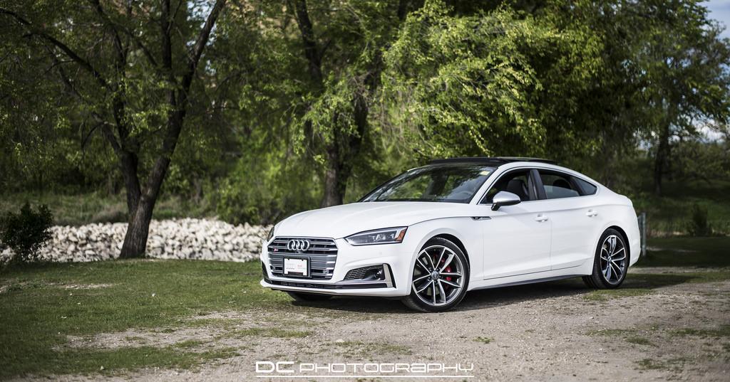 684109S5SPORTBACKB90290.jpg