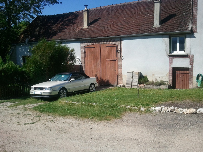 684129Photo8773a.jpg