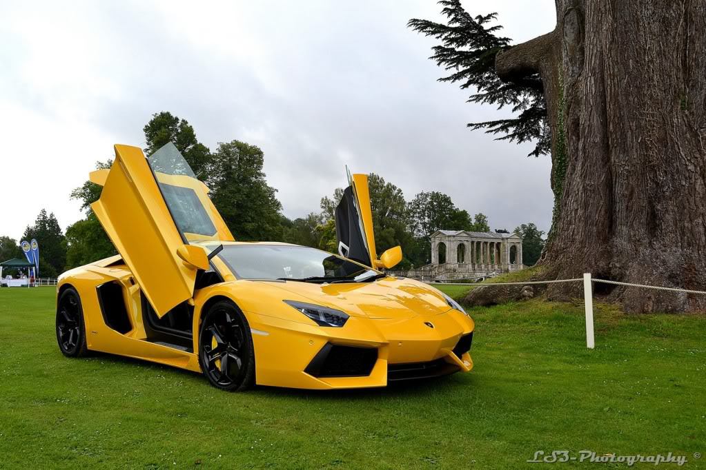 684881737LAMBORGHINIAVENTADOR.jpg