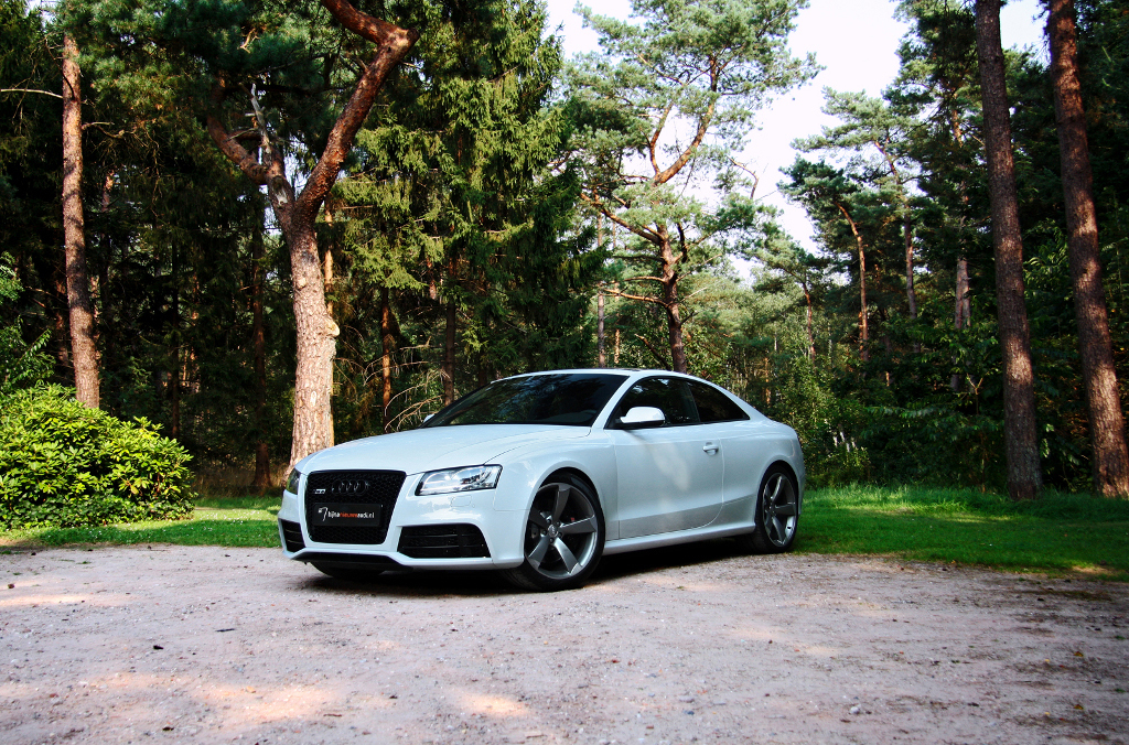 685377AUDIRS5486.jpg
