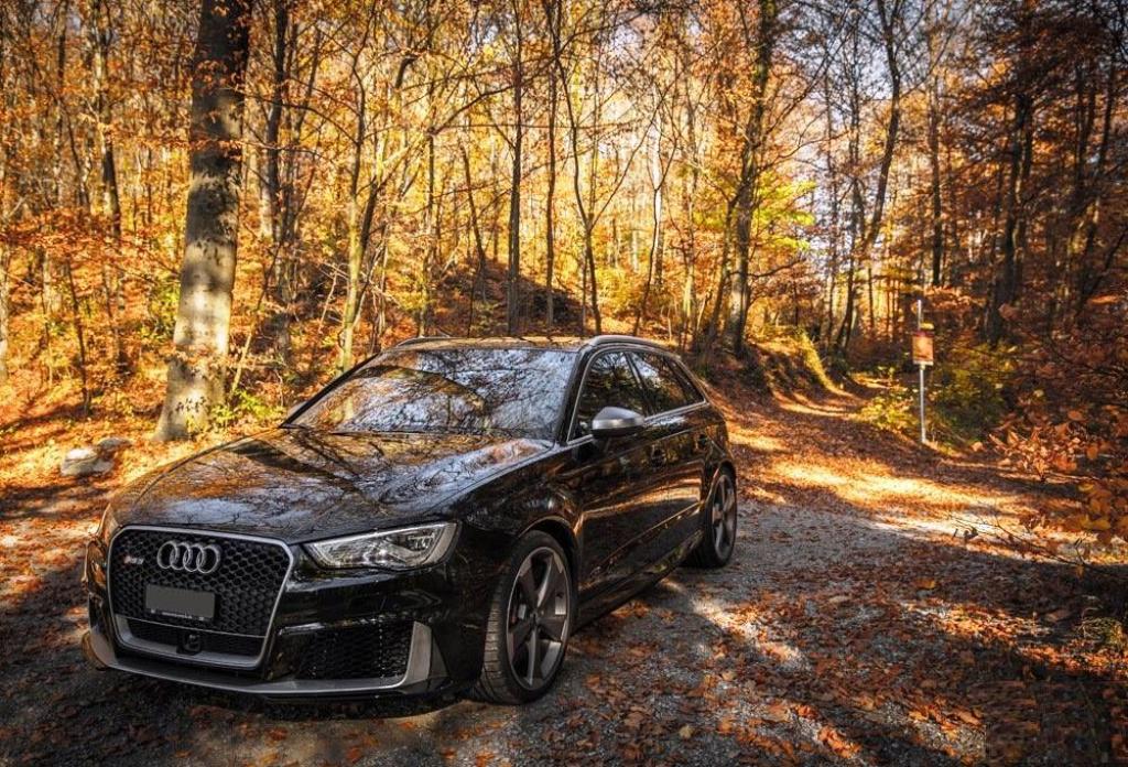 685491RS38V0739.jpg