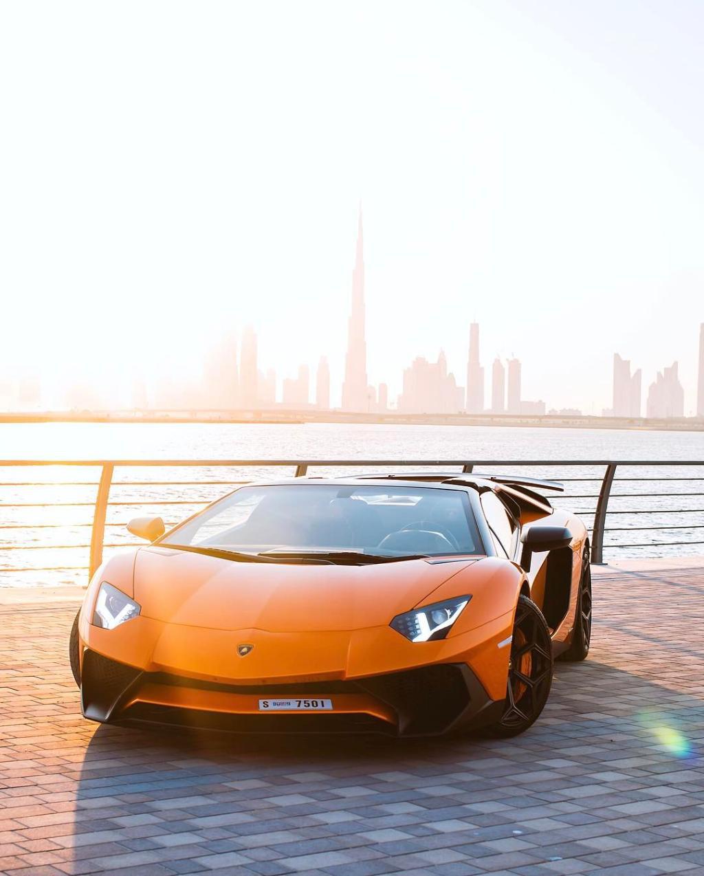 6874454239LAMBORGHINIAVENTADOR.jpg