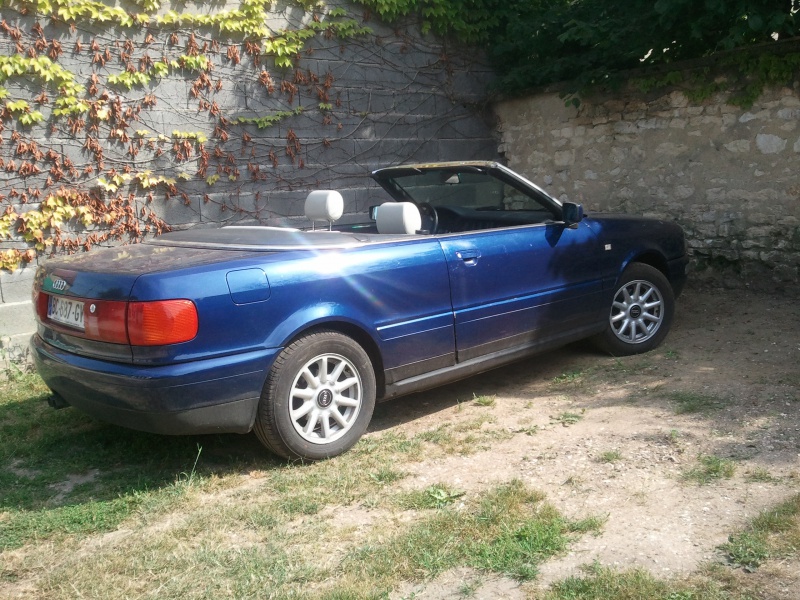 688980Photo6223.jpg