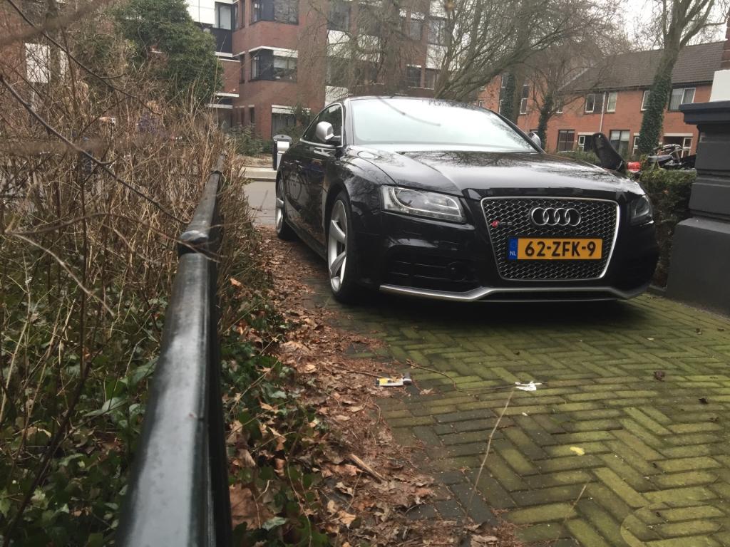 690765AUDIRS53079.jpg