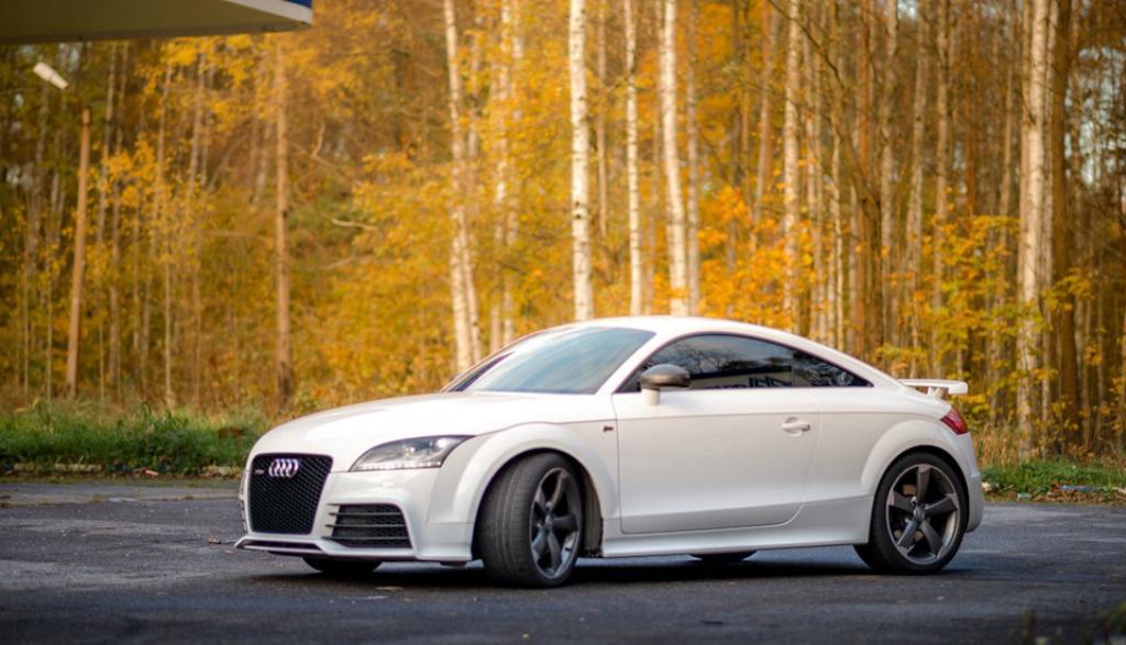691870AUDITTRS2485.jpg