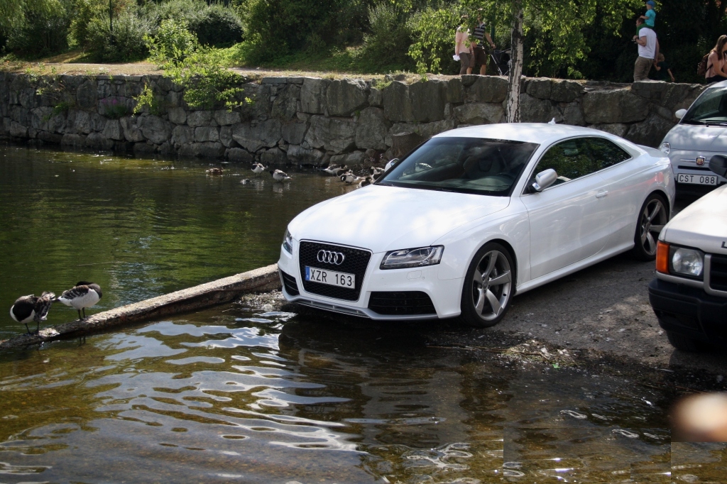 692427AUDIRS5504.jpg