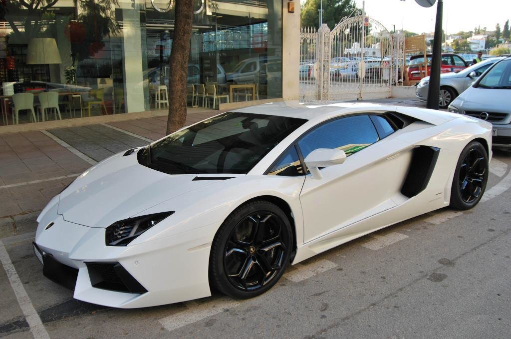 692828201LAMBORGHINIAVENTADORESQUIROU.jpg