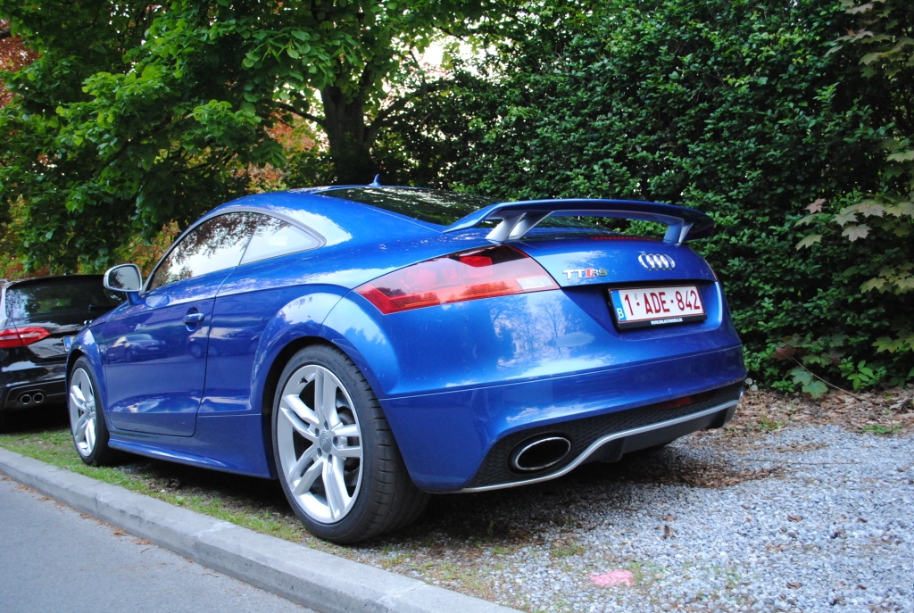 694818AUDITTRS1531.jpg