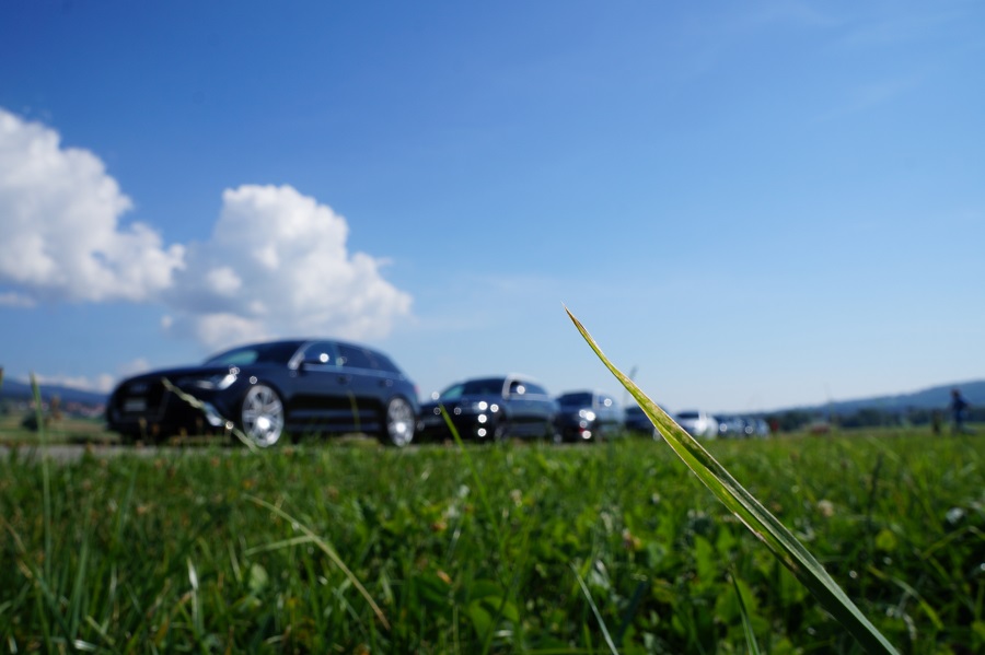 696095DSC00216Copie.jpg