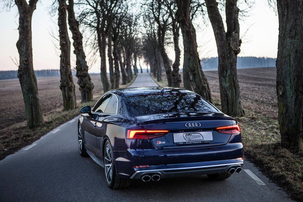 697526S5B90416.jpg
