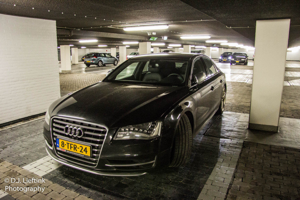699010S8D4880.jpg