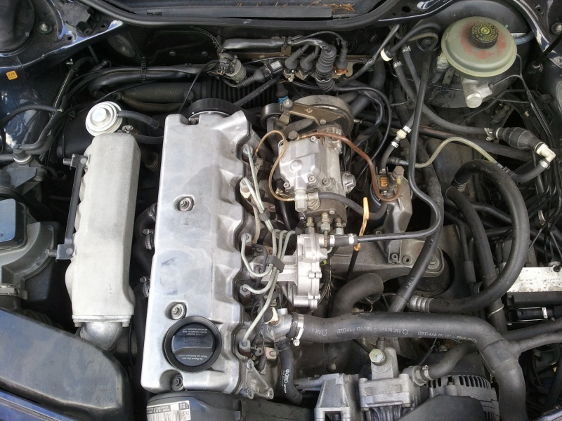 699790Photo3263.jpg