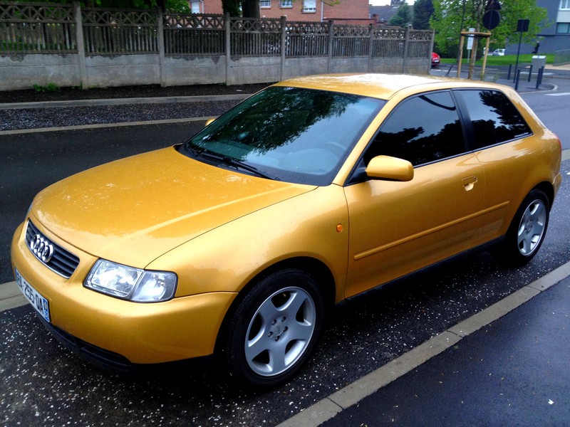 702498img0519td.jpg