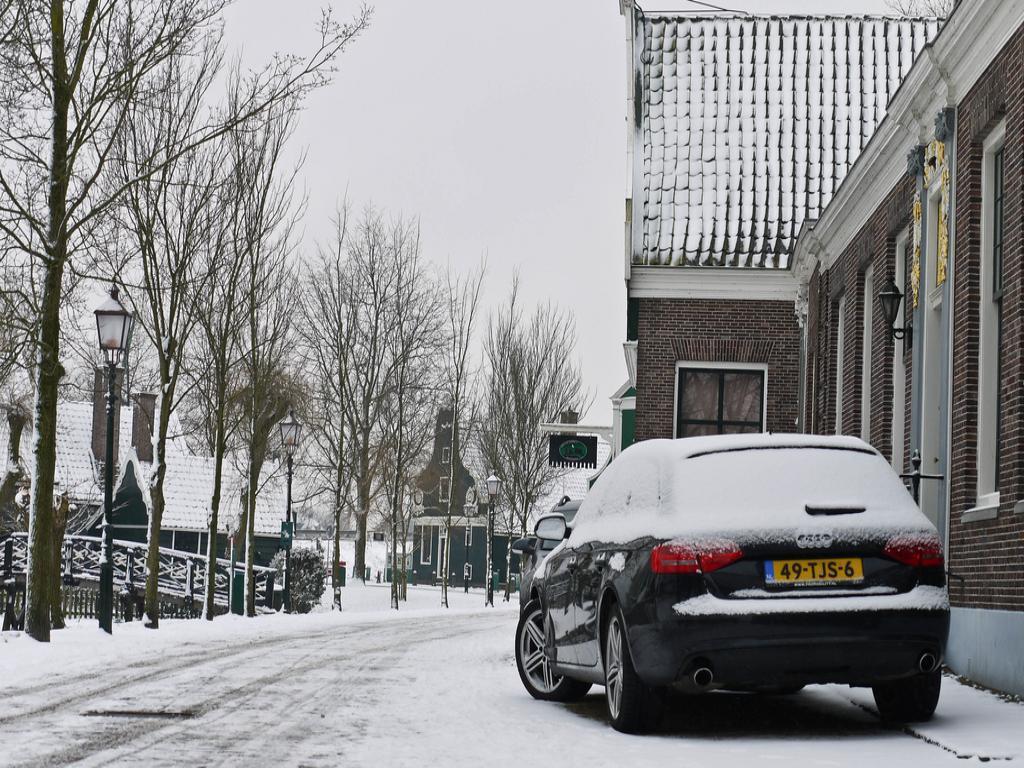 704886550NEIGE.jpg