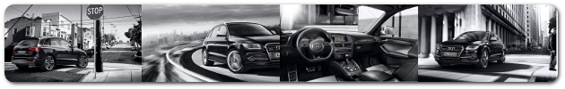 705330SIGNATURESQ51.jpg