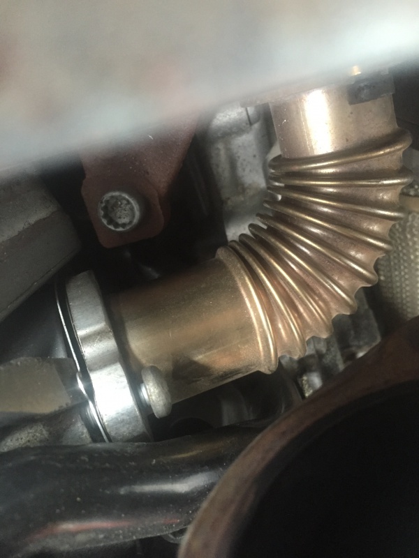 708466026.jpg