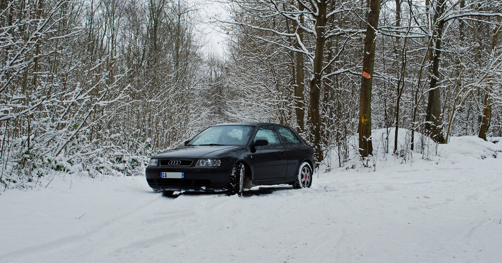 723624DSC5354b.jpg