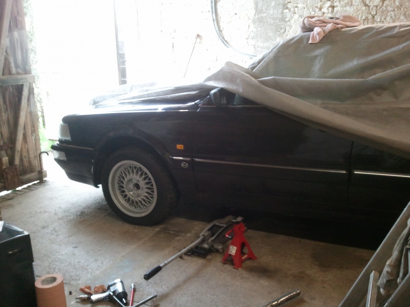 723991Photo7019.jpg