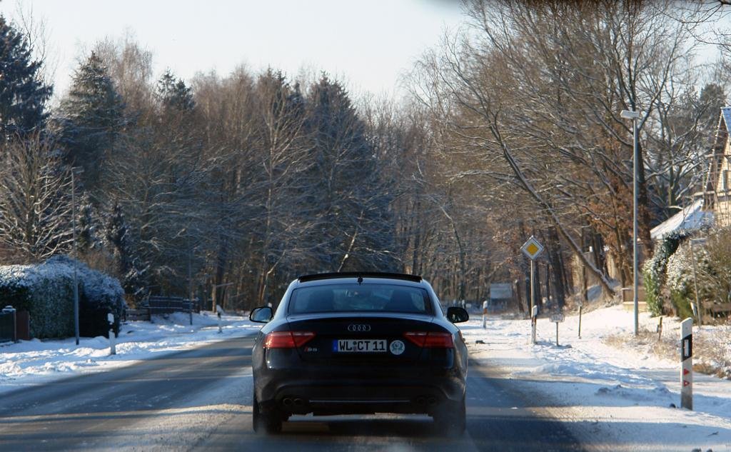 725464S5110212ESQUIROU004.jpg