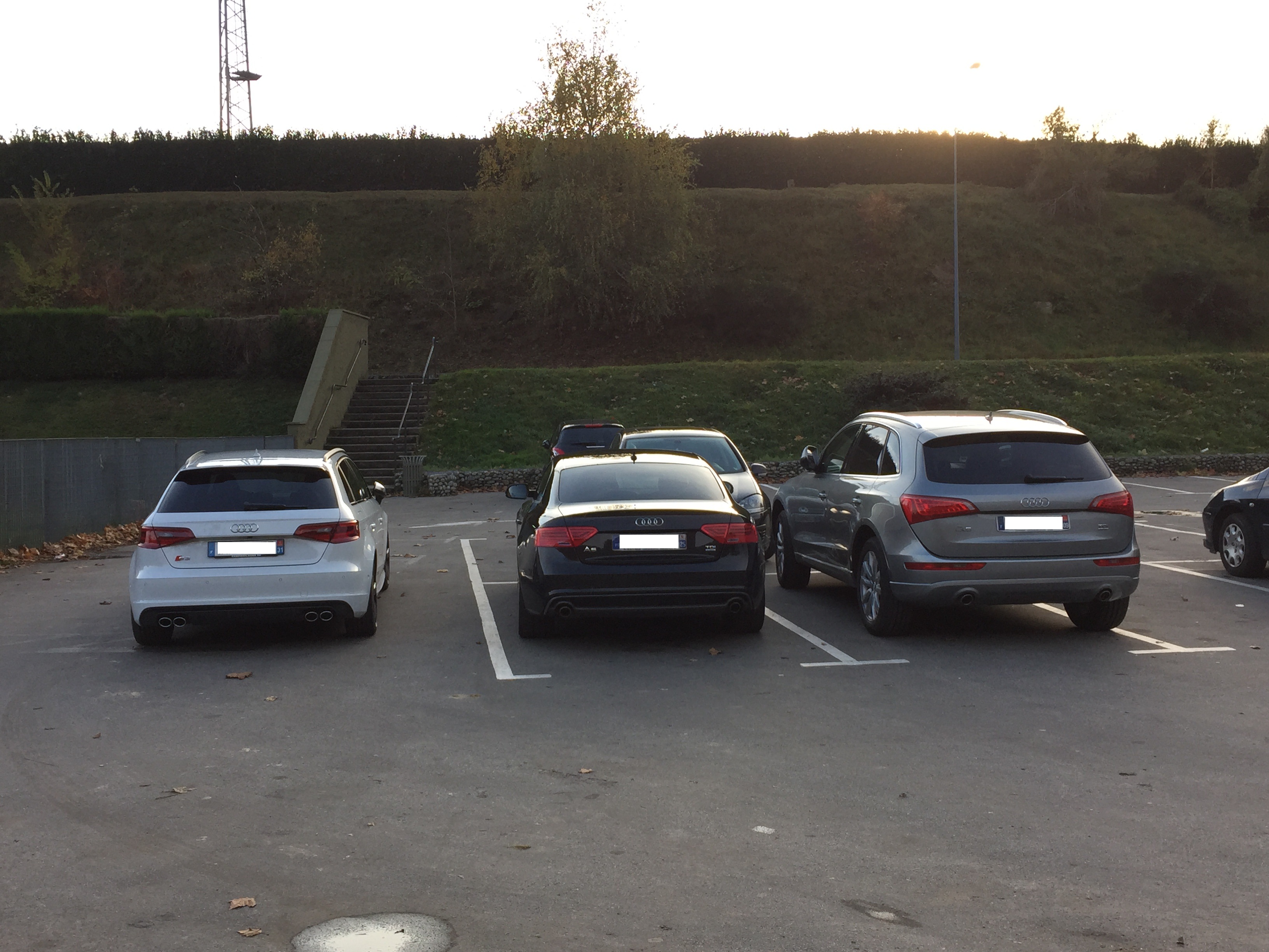 725851IMG1763Copie.jpg