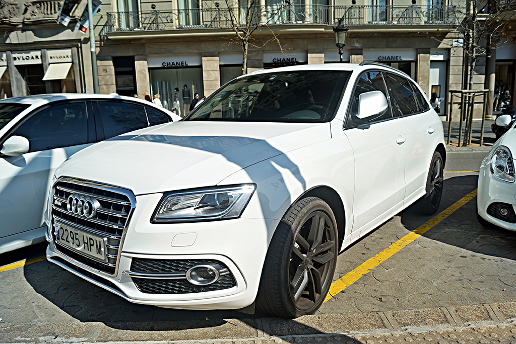 727201AUDISQ5975.jpg