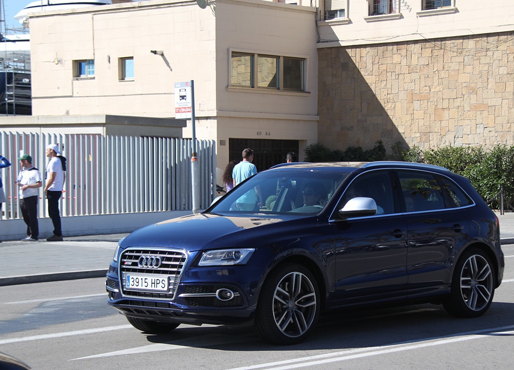 727510AUDISQ5514.jpg
