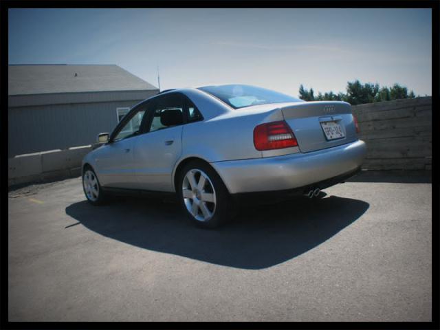 728103IMG3963copy.jpg