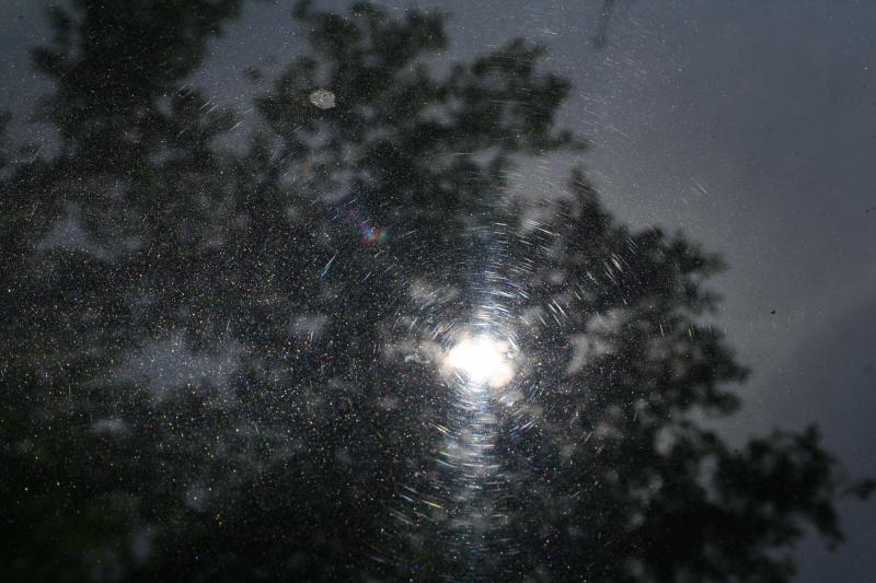 728175IMG7566.jpg
