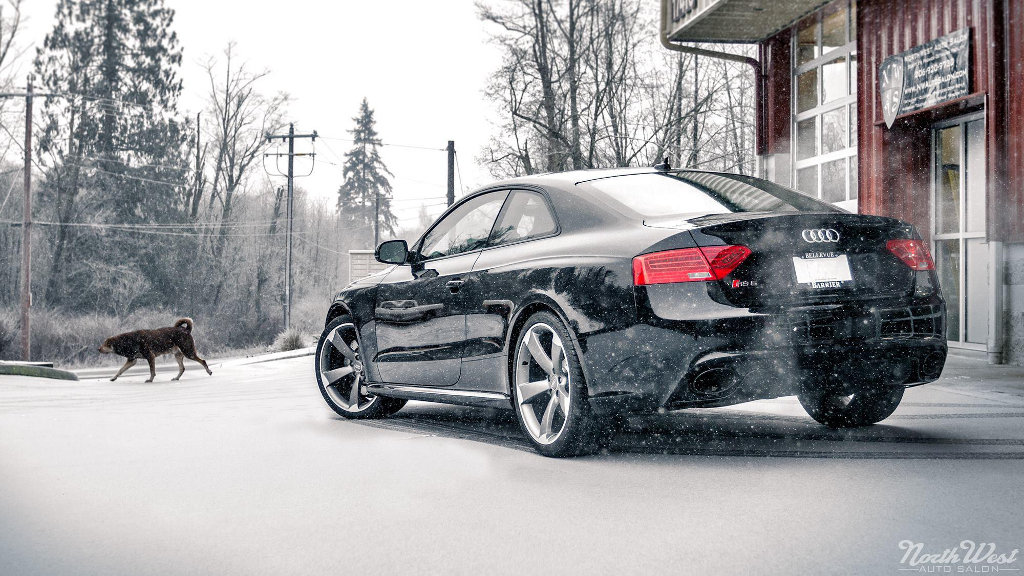 728748AUDIRS5614.jpg