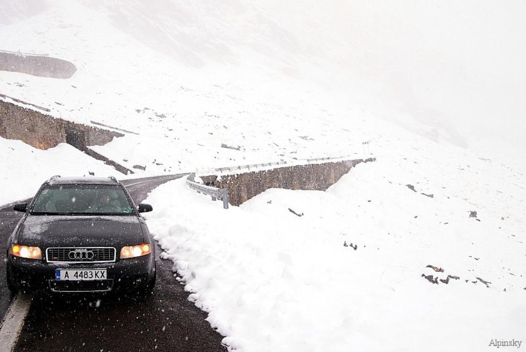 7287661008NEIGE.jpg