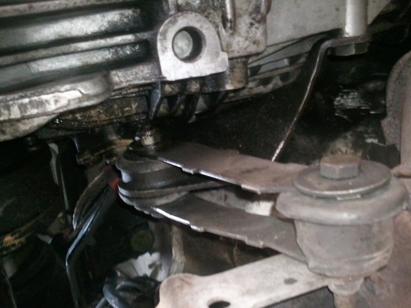 729247Photo4659.jpg