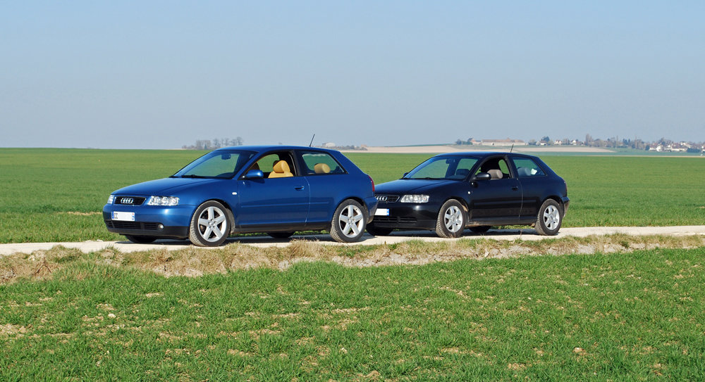 731712DSC1933b.jpg