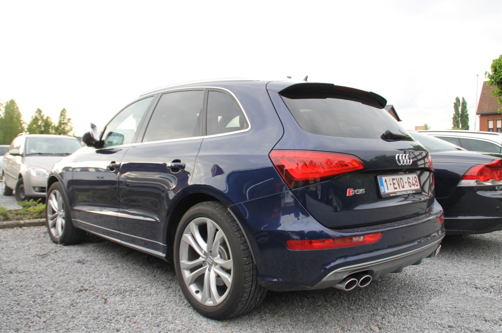 733449AUDISQ5615.jpg