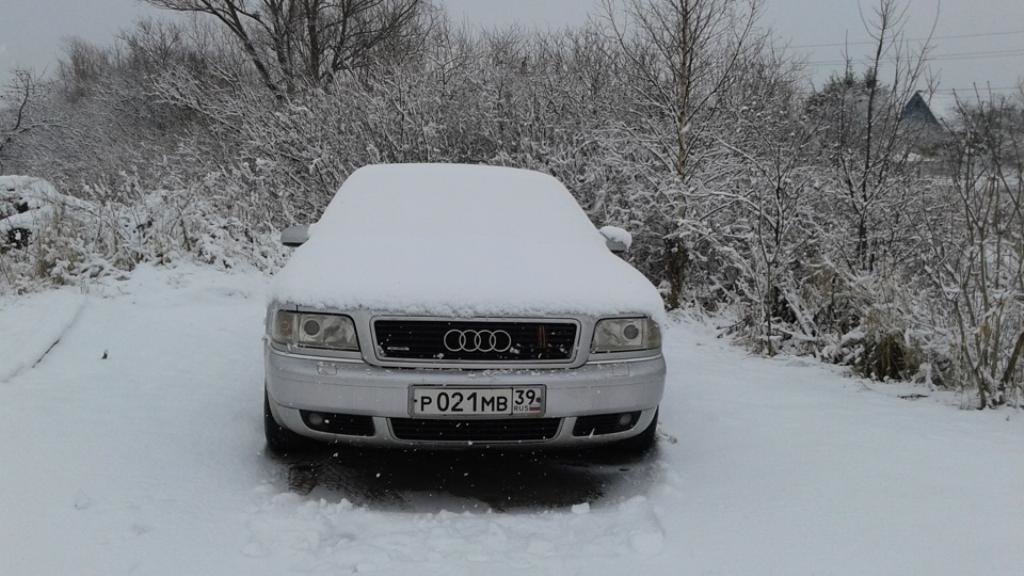 7337241772NEIGE.jpg