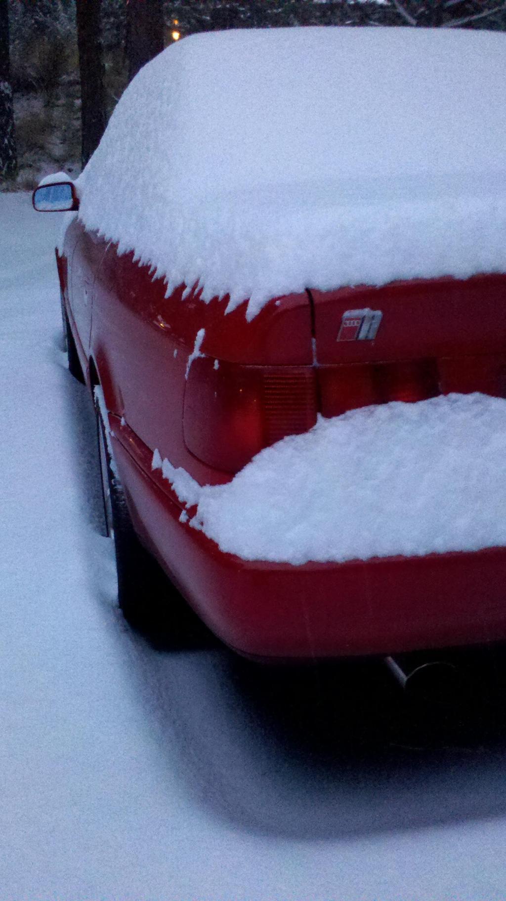 7340311035NEIGE.jpg