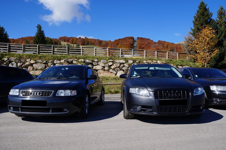 736248DSC06394.jpg