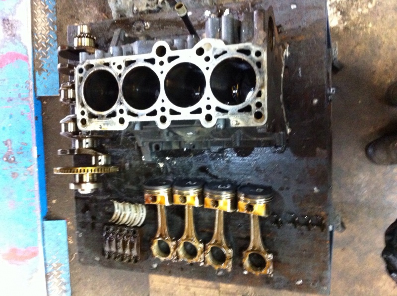737180IMG1732.jpg