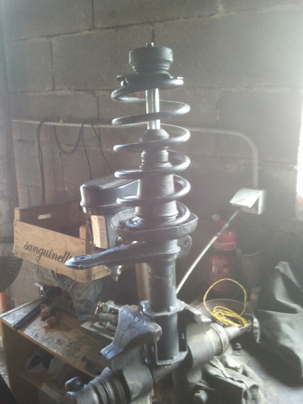 738444Photo7097.jpg