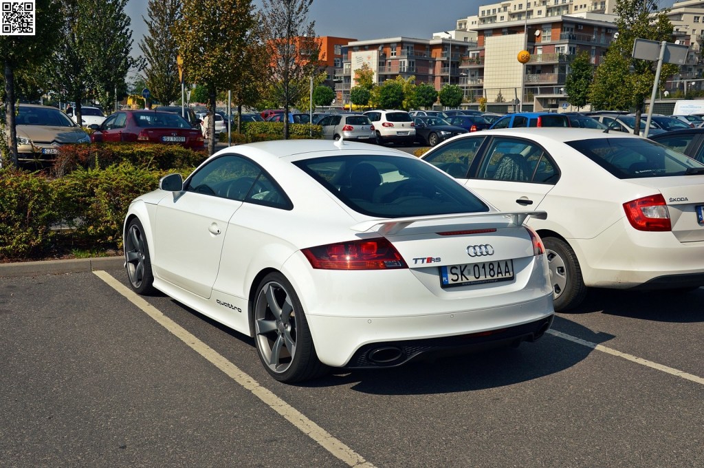 739480AUDITTRS1294.jpg