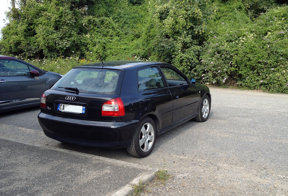 739544IMG2846b.jpg