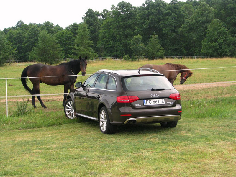 73974548AUDIA4ALLROAD.jpg