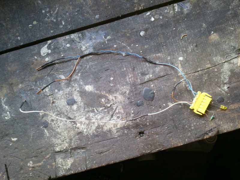 742412Photo6360.jpg
